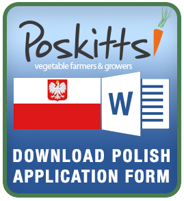 polish-download