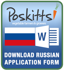 russian-download
